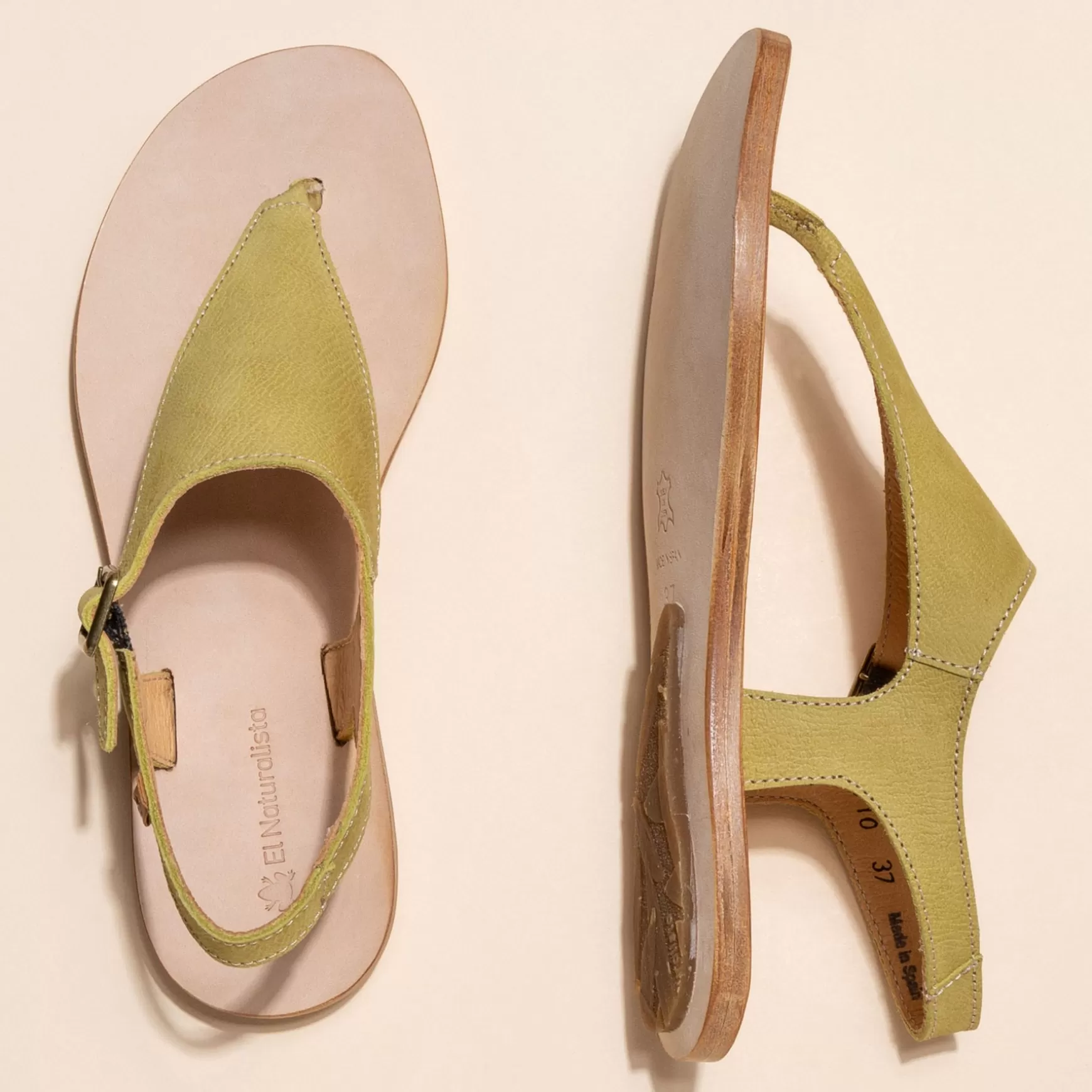 coratina_13.webp El Naturalista Sandaler<5710 Coratina