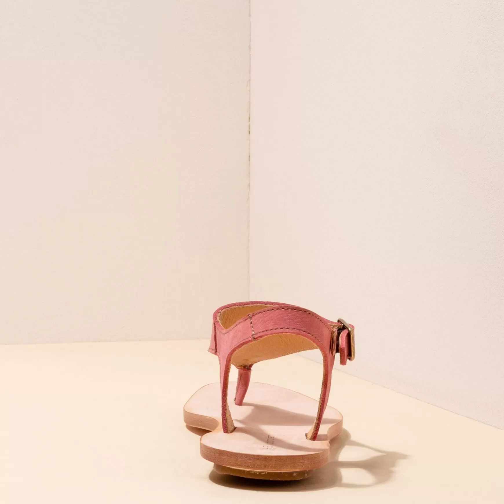 coratina_19.webp El Naturalista Sandaler<5710 Coratina