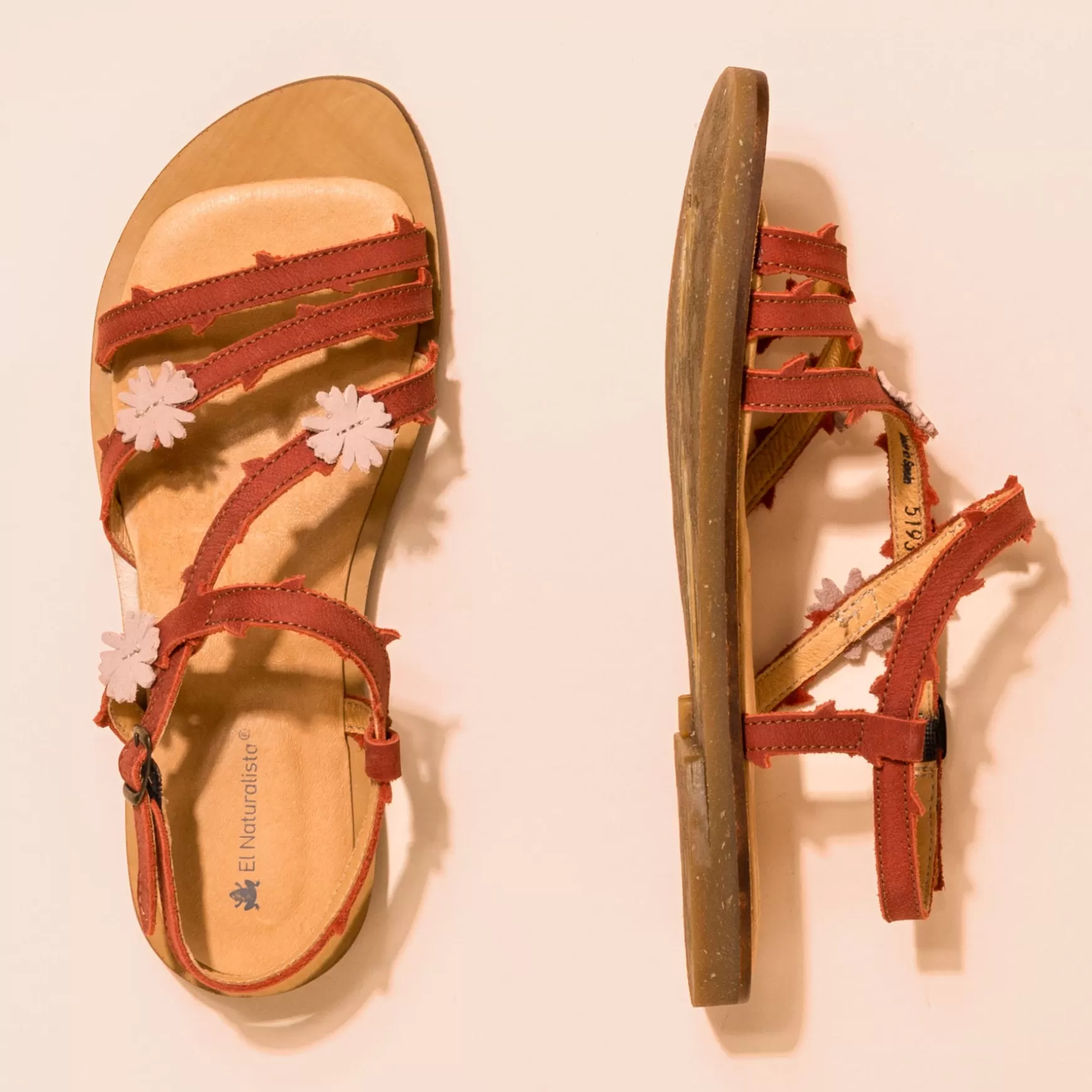 f_tulipan_13.webp El Naturalista Sandaler<5193F Tulipan