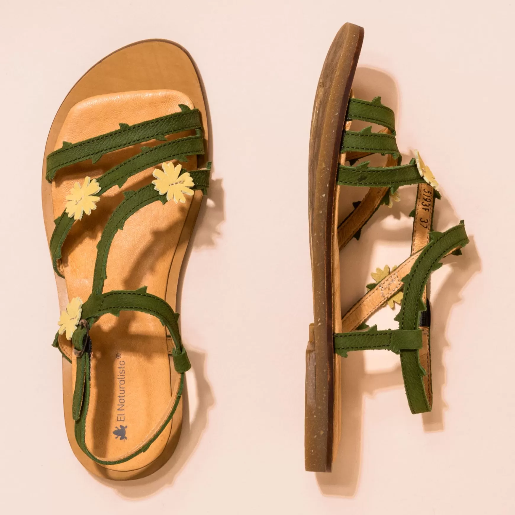 f_tulipan_18.webp El Naturalista Sandaler<5193F Tulipan