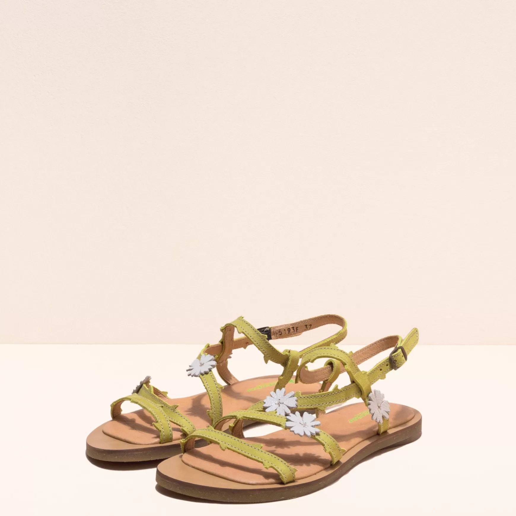 f_tulipan_21.webp El Naturalista Sandaler<5193F Tulipan