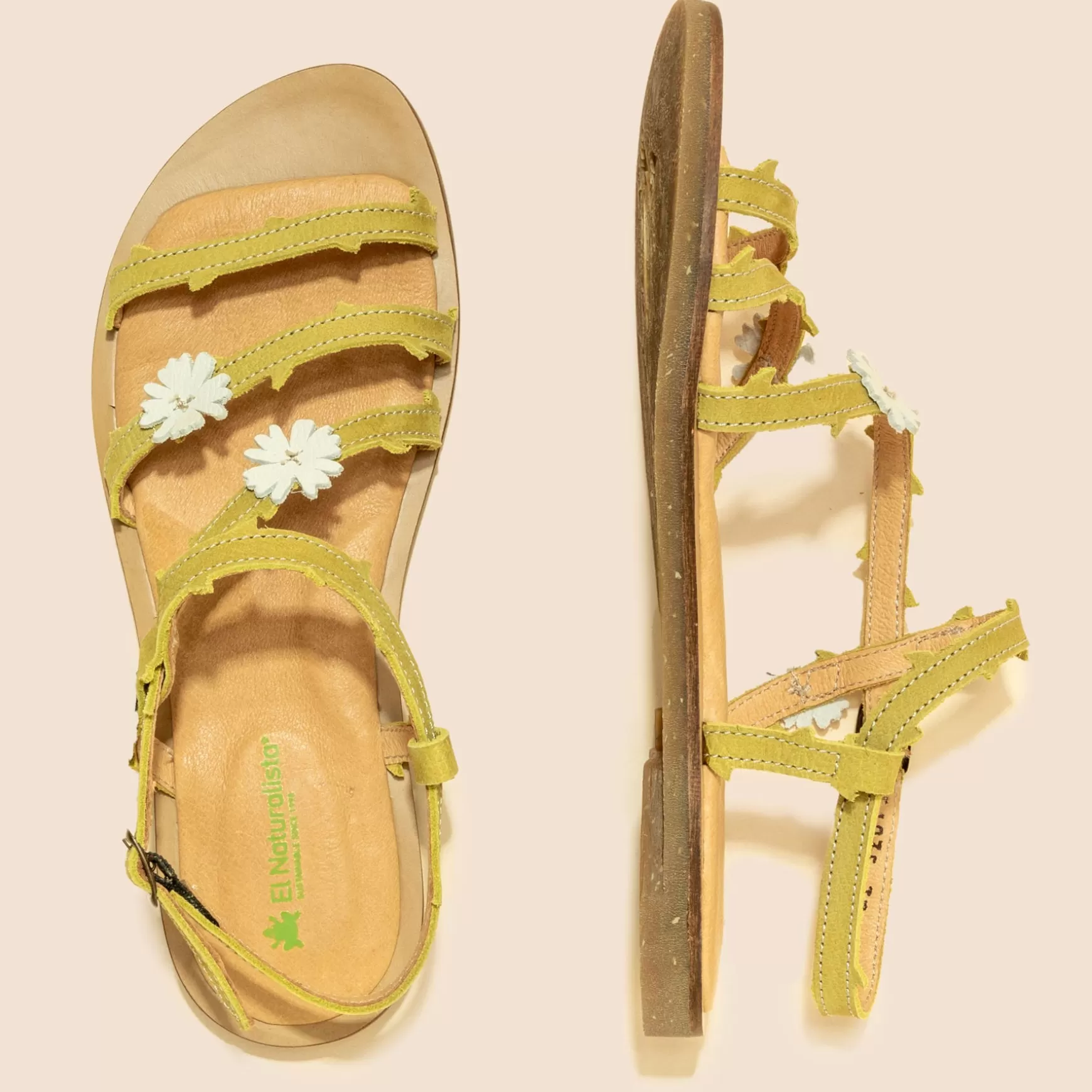 f_tulipan_23.webp El Naturalista Sandaler<5193F Tulipan