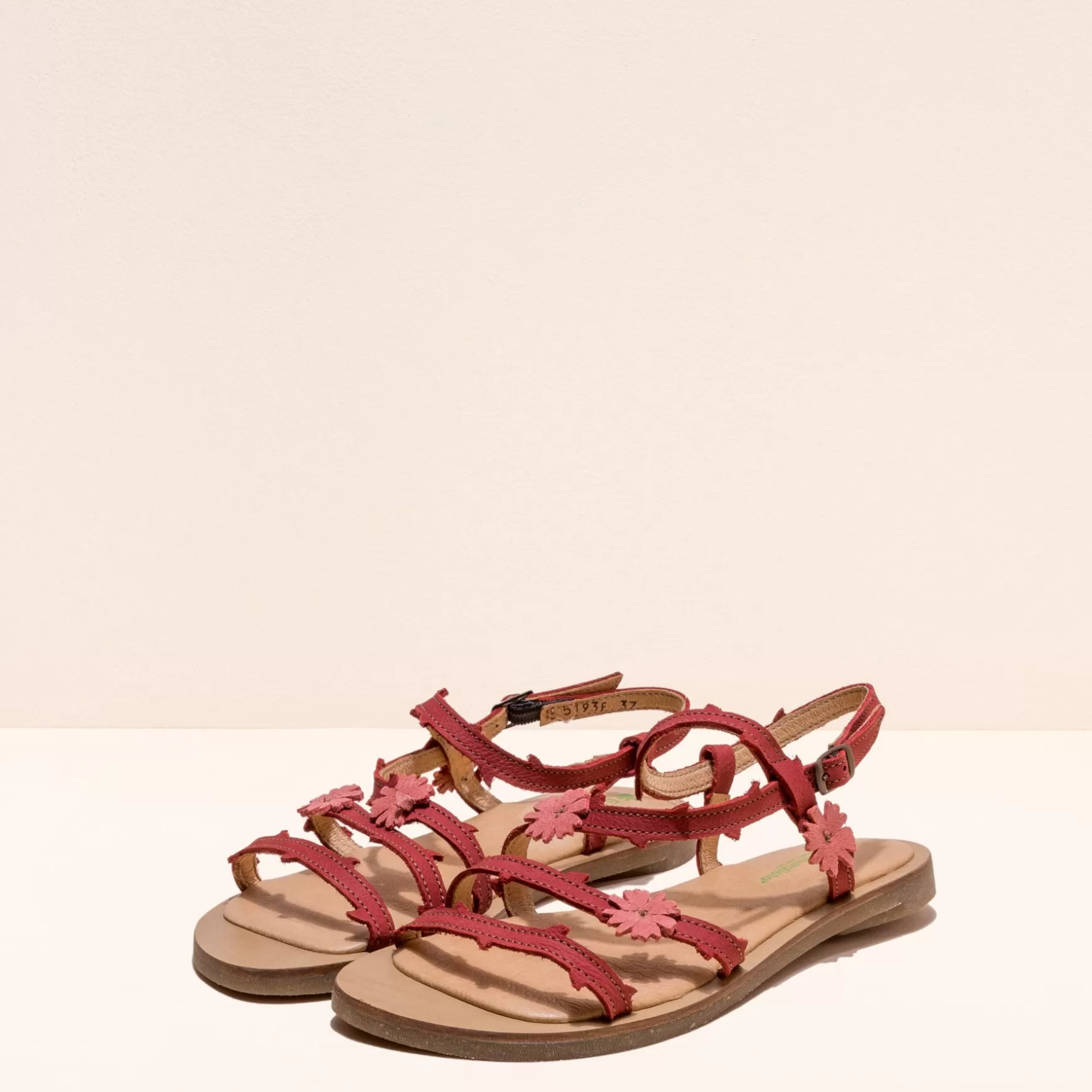 f_tulipan_31.webp El Naturalista Sandaler<5193F Tulipan