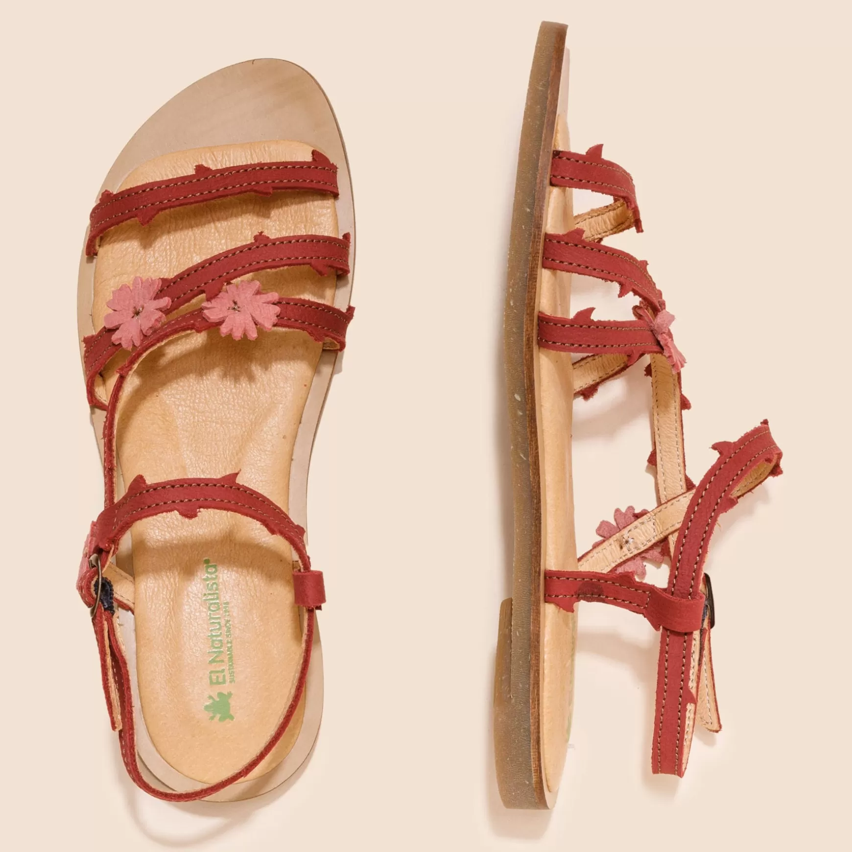 f_tulipan_33.webp El Naturalista Sandaler<5193F Tulipan