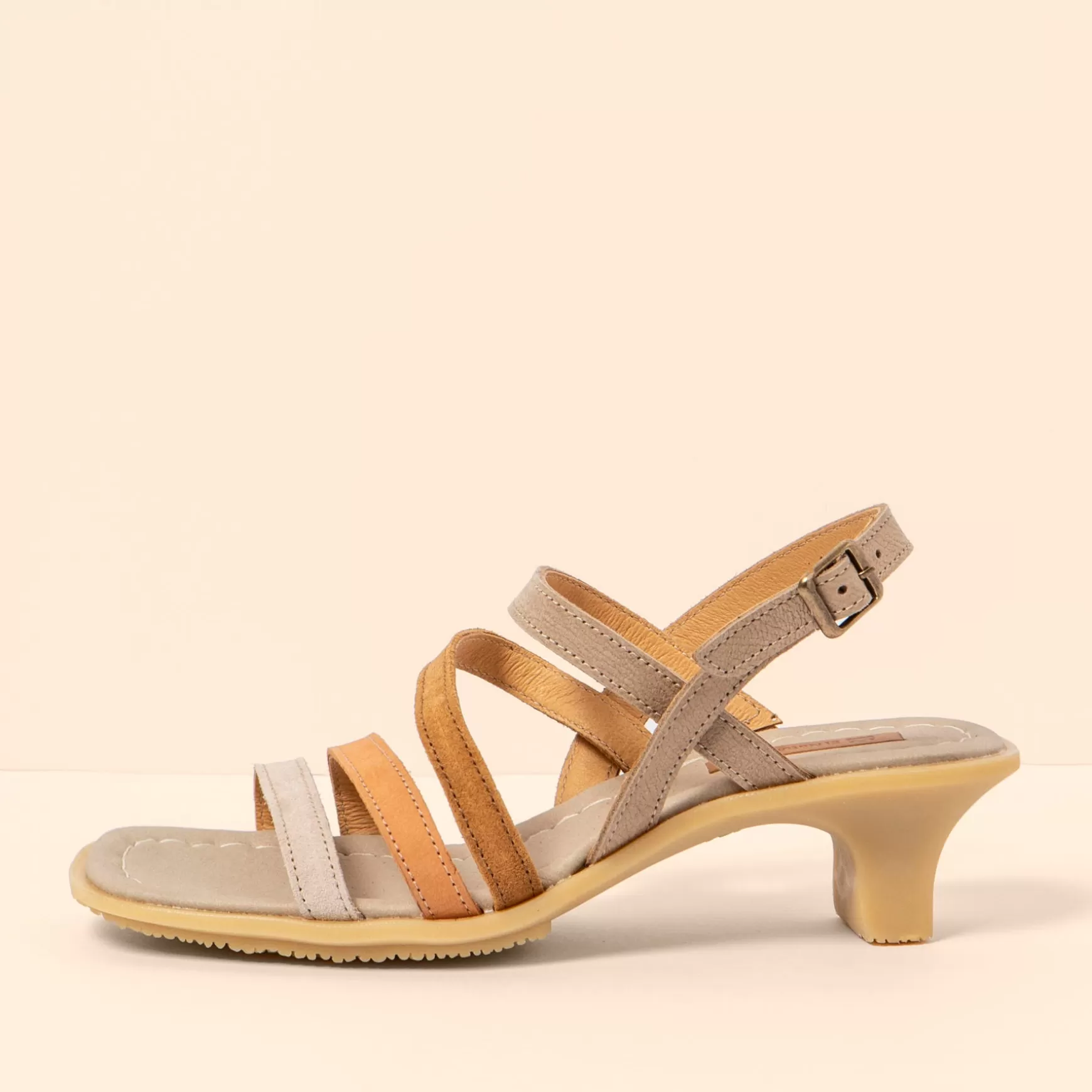 El Naturalista Sandaler<5993 Igusa