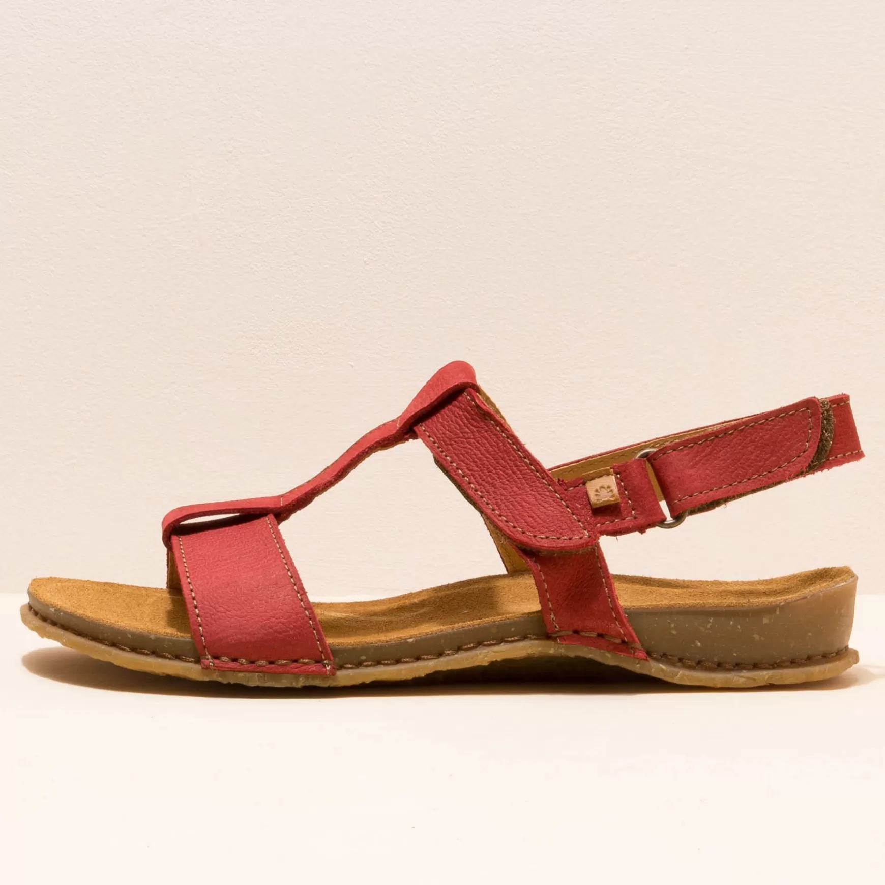 El Naturalista Sandaler<5816 Panglao