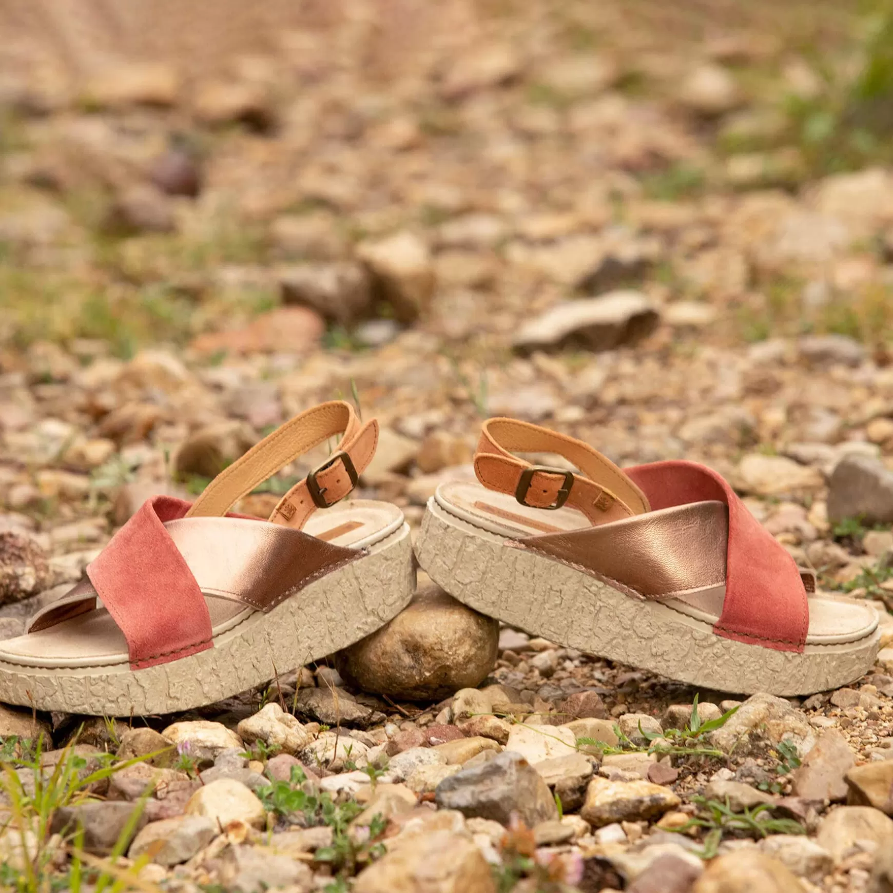 shinrin_6-1.webp El Naturalista Sandaler<5972 Shinrin