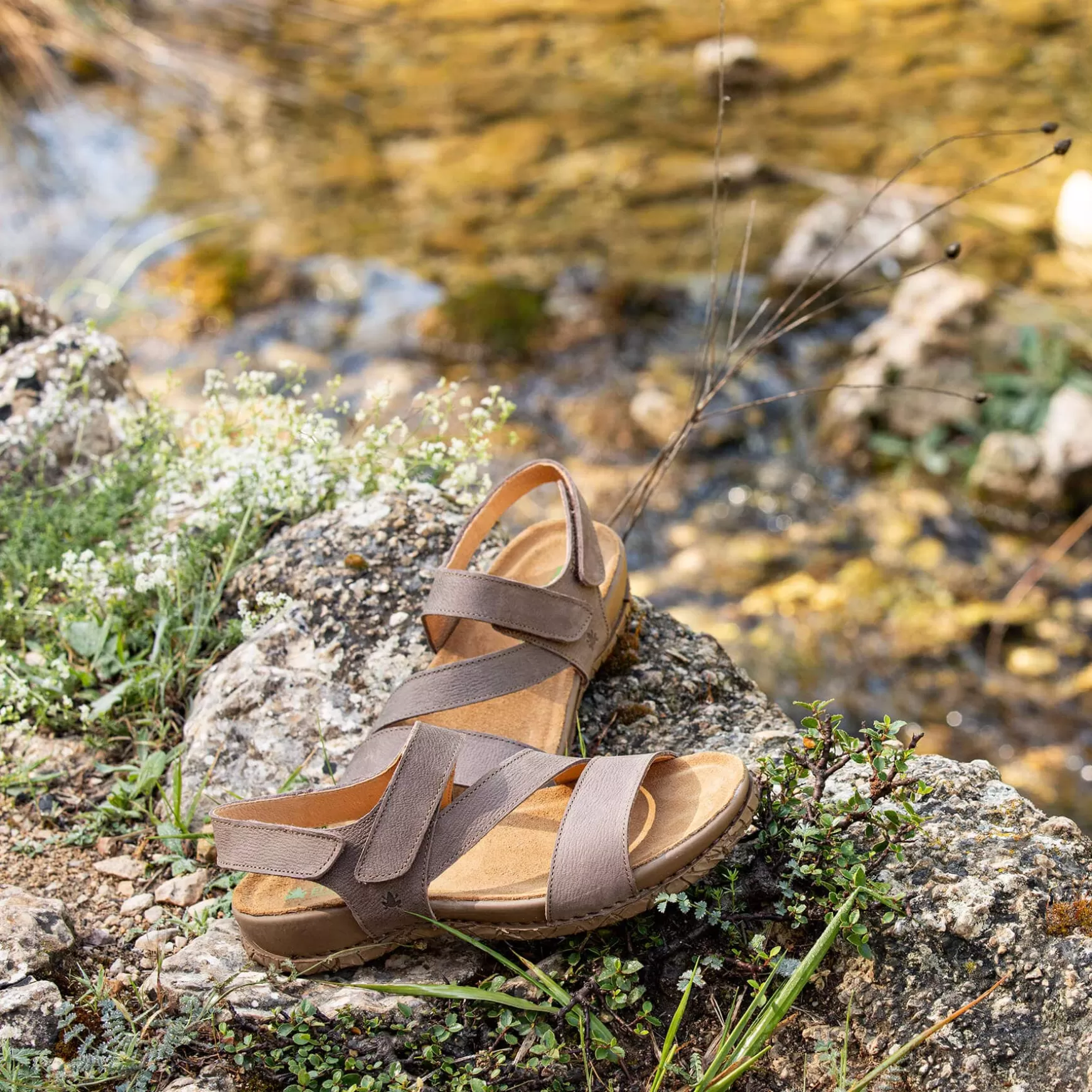 tabernas_20-4.webp El Naturalista Sandaler<5860 Tabernas