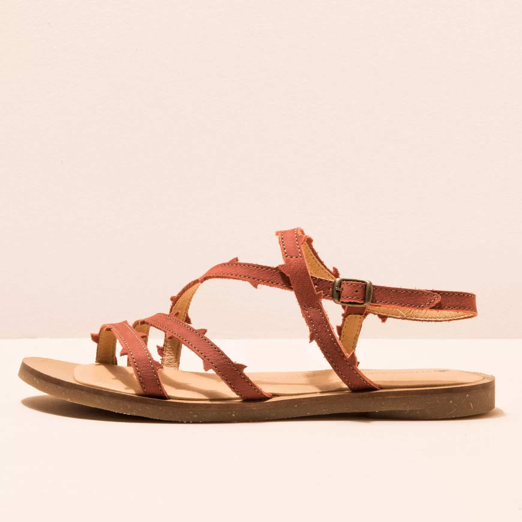 El Naturalista Sandaler<5193 Tulipan