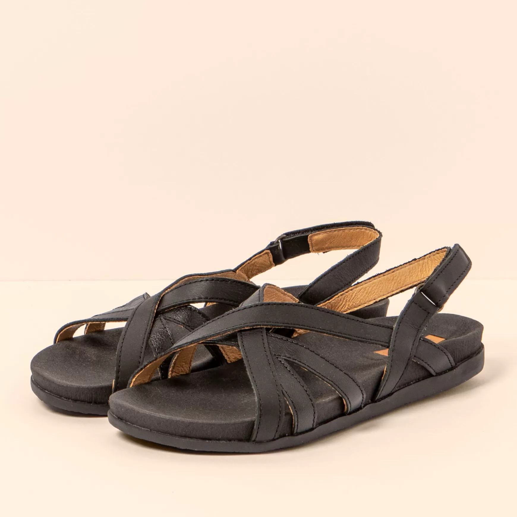 El Naturalista Sandaler<5653 Zumaia