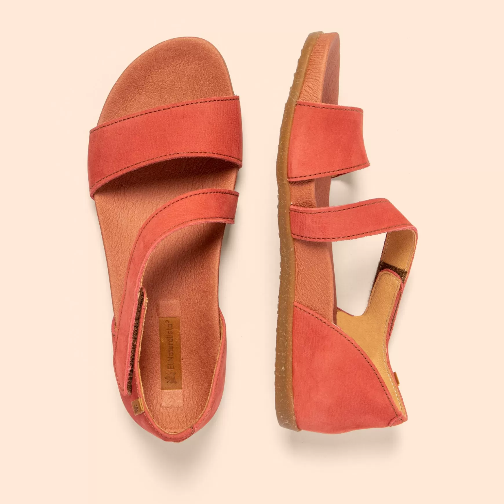 zumaia_33-1.webp El Naturalista Sandaler<5652 Zumaia