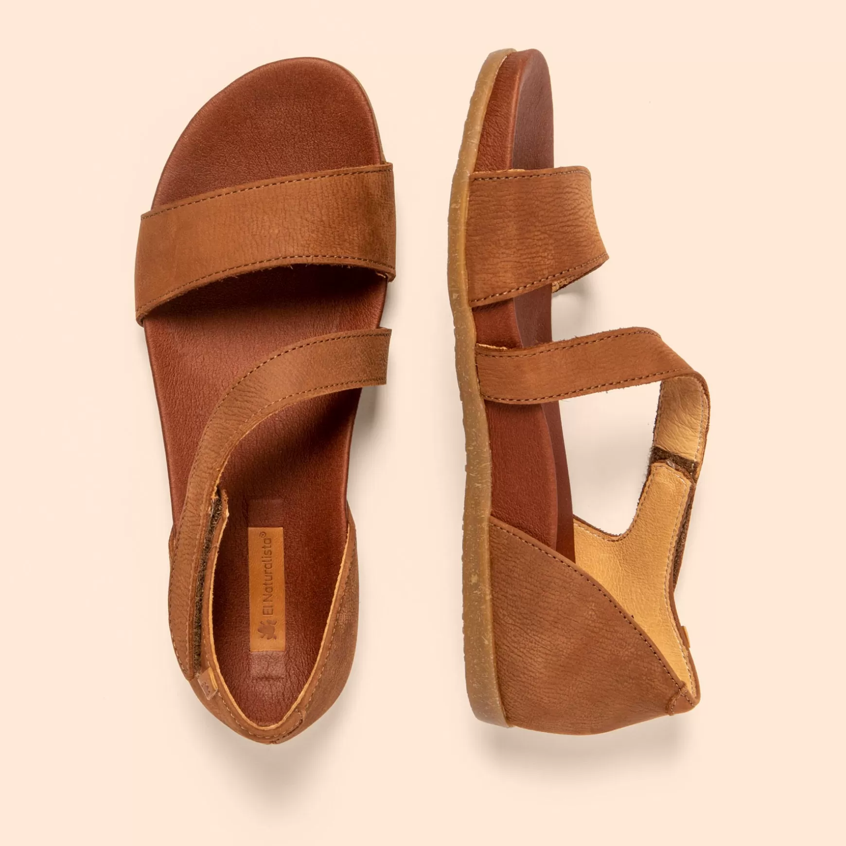 zumaia_43.webp El Naturalista Sandaler<5652 Zumaia