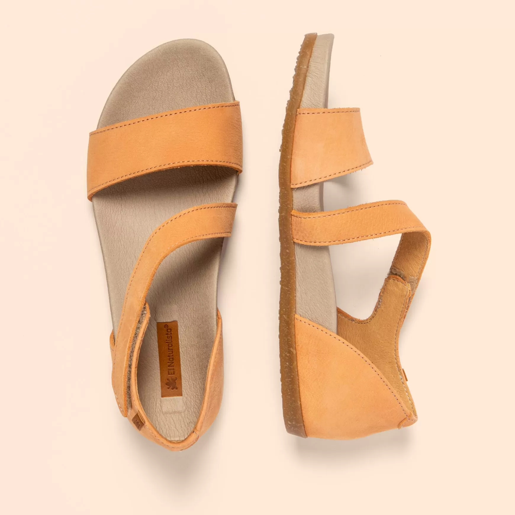 zumaia_53.webp El Naturalista Sandaler<5652 Zumaia